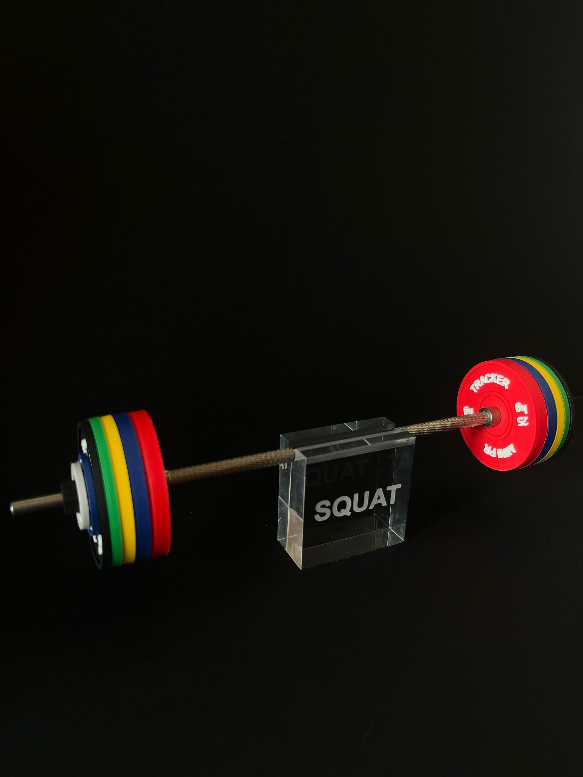 Mini Barbell Stand Bundle – Stainless Steel Barbell , Acrylic Stand & 1 Pair Of Plates